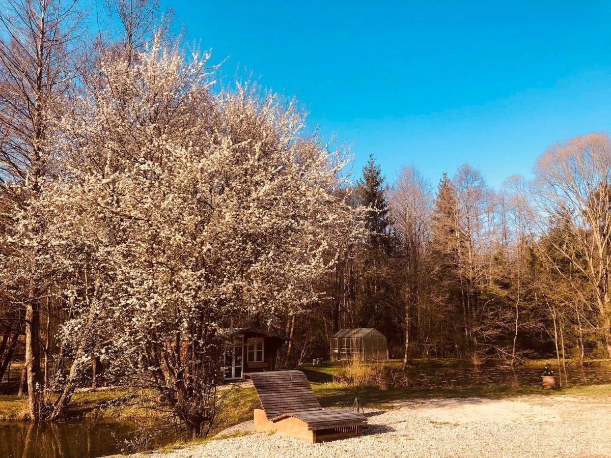 Fischerhaus Burgthann Екстериор снимка